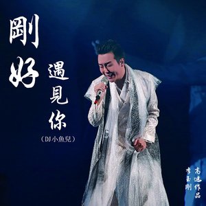 剛好遇見你 (DJ 小魚兒 Remix)
