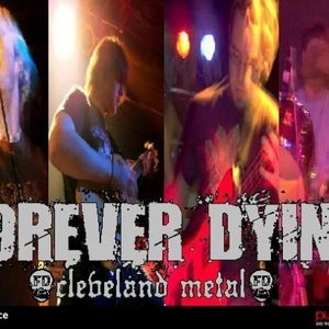 forever dying 的头像