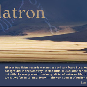 Contemplatron photo provided by Last.fm