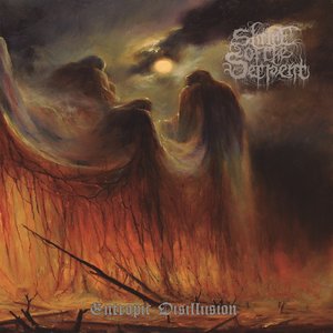 Entropic Disillusion