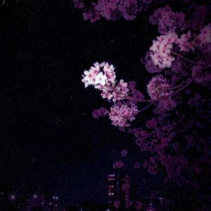 Wasps Deserve Love - EP