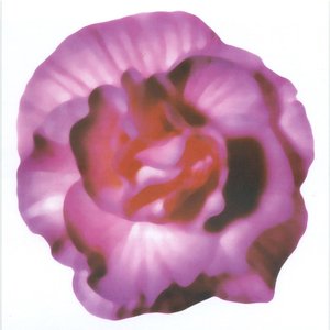 aboutpop 的头像