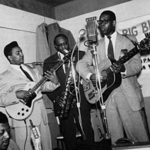 Elmore James & His Broom Dusters 的头像