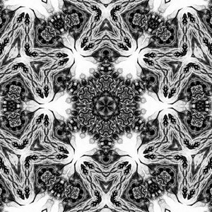 Untitled One