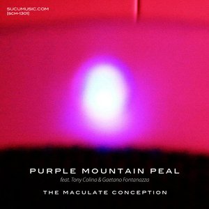 Avatar for Purple Moutain Peal