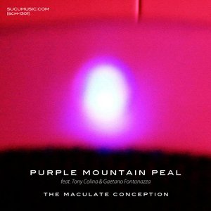 Purple Moutain Peal 的头像