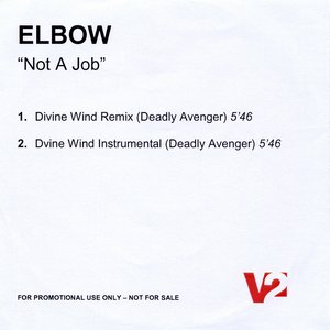 Not a Job (Deadly Avenger Remixes)