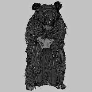 Image for 'Moon Bear'