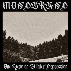 One Year of Winter Depression