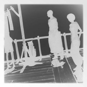 sociality