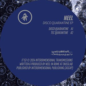 'Disco Quarantine EP'の画像
