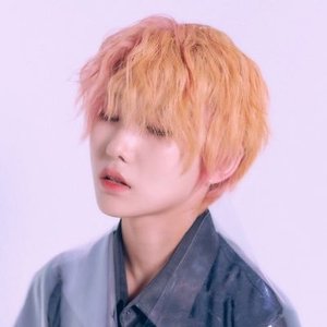 Avatar di Shawn 彭兮辰