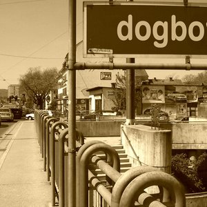 Dogboy! 的头像