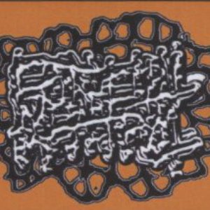 Epithelial Meatpool 的头像