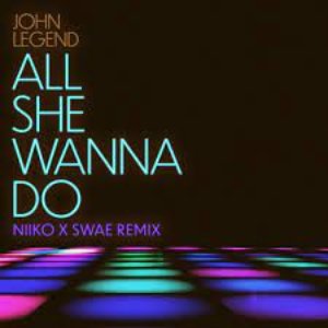 All She Wanna Do (NIIKO X SWAE Remix)