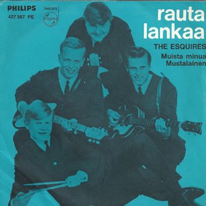 Rautalankaa