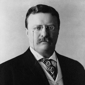 Theodore Roosevelt 的头像