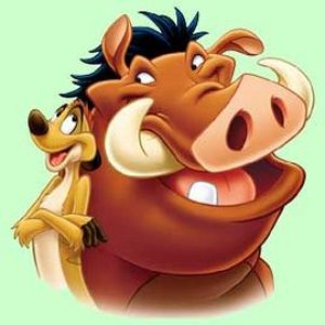 Avatar for Timon and Pumbaa