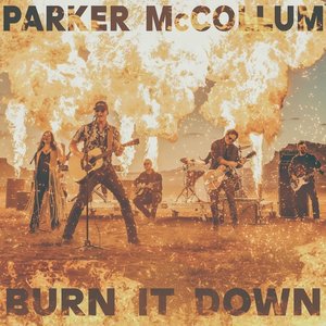 Burn It Down (Radio Edit) - Single