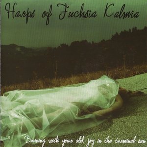 Burning with Your Old Joy in the Terminal Sun