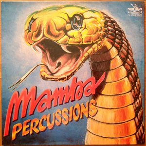 Изображение для 'Mamba Percussions'