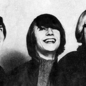 Avatar di Ringo & Mainers