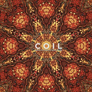 Stolen & Contaminated Songs