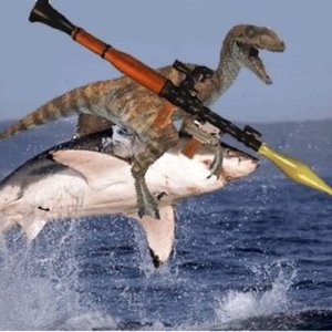Industry Turned Shark 的头像
