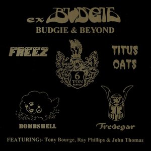 Budgie & Beyond