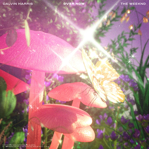 Calvin Harris - Over Now - Zortam Music