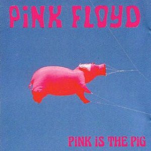 Pink is the Pig