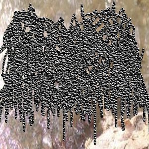 Avatar for Snuff Corpse Vaginal Puke Collector