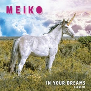 In Your Dreams (Acoustic)