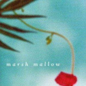 marsh mallow