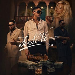 Artwork for Se Le Ve