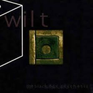 The Black Box Aesthetic