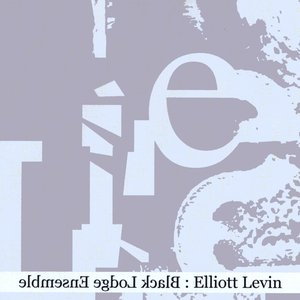 Elliott Levin and the Black Lodge Ensemble