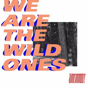 We are the wild ones - Single