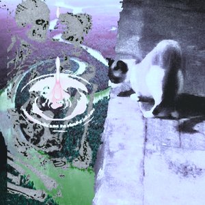 “Dois lagos à labuta”的封面