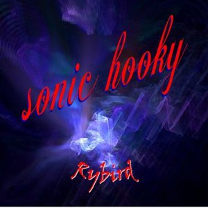 “Sonic Hooky”的封面