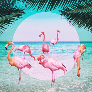 Flamingo - EP