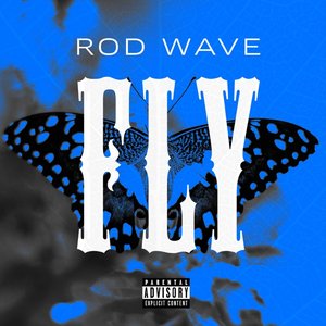 Fly - Single