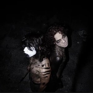 Avatar de Voices In Voids