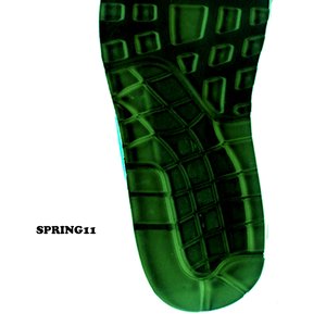 Spring11