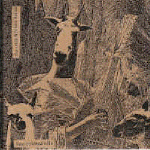 The Once & Future Herds 的头像