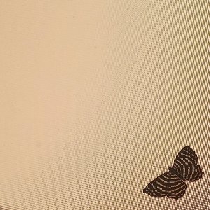butterfly~tape