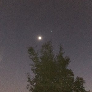 Cry To - Single