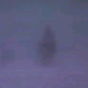 冷凍死体