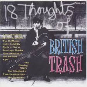 18 Thoughts Of British Trash