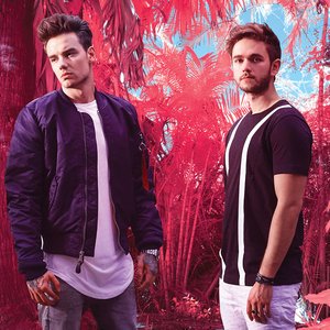 ZEDD, Liam Payne 的头像